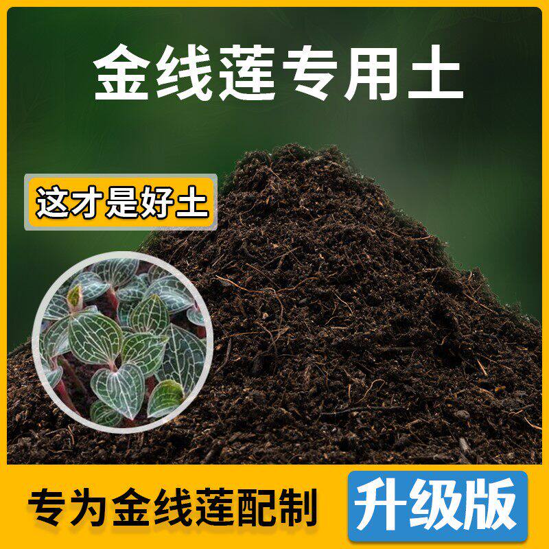 金线莲专用土家用种植土壤透气金线莲营养土盆栽种花养花有机土