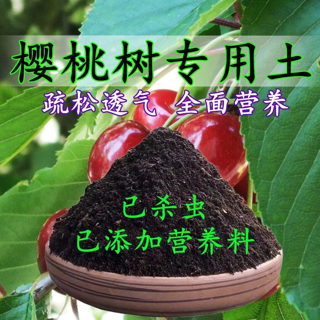 樱桃树专用土车厘子专用营养土盆栽土养花种花土通用种植土壤肥料