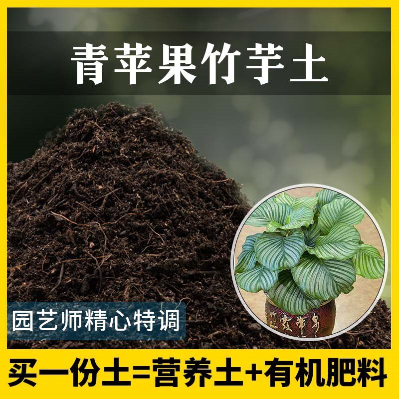 青苹果竹芋专用土家用养花有机土种植土竹芋营养土植物种花盆栽土