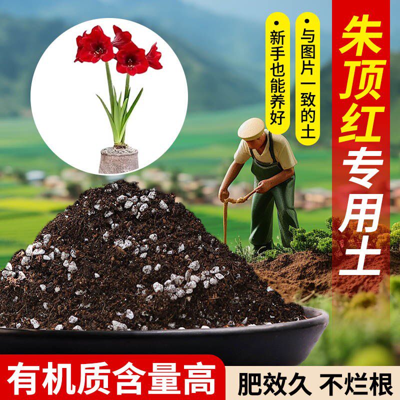 朱顶红营养土适用土疏松透气含泥炭肥料通用有机种植土轻质专用土