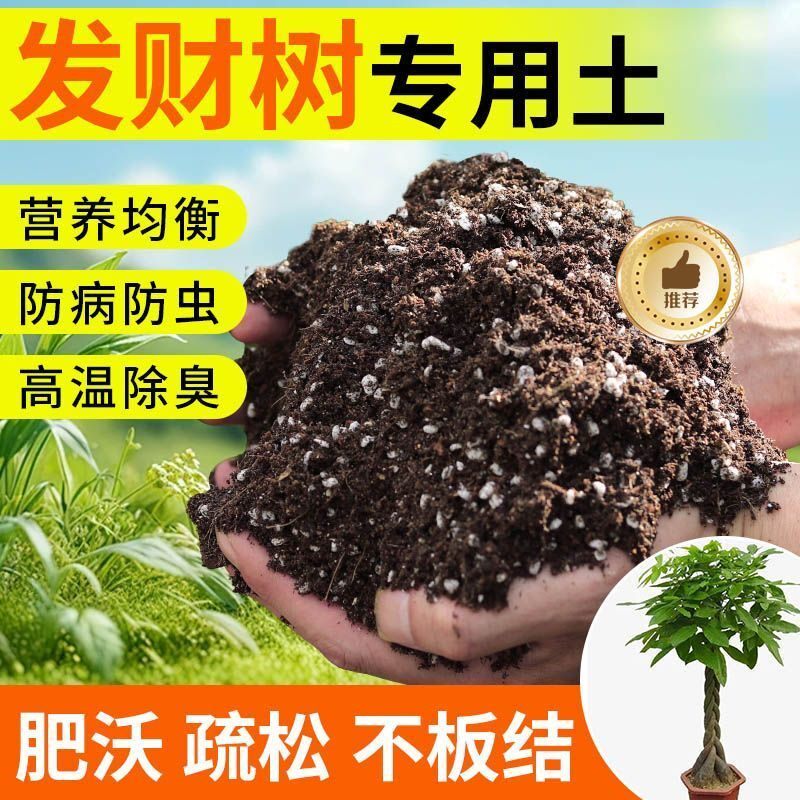 发财树种植土壤专用营养土盆栽土种花养花土多肉育苗土君子兰花土