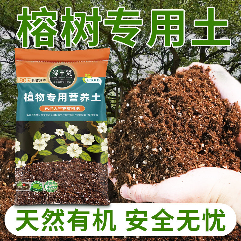 榕树专用栽培土绿植适用精工筛分盆土环境友好开袋即用枝干木质化