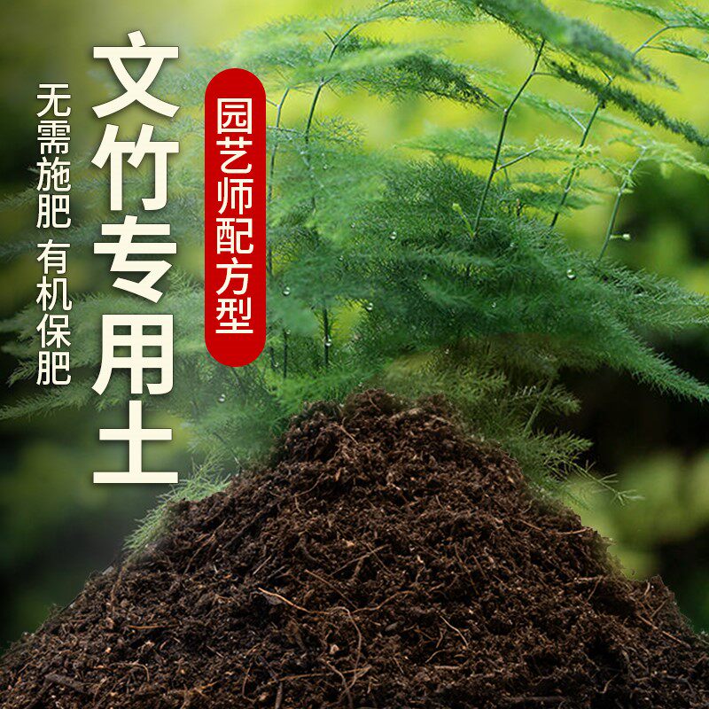 文竹专用营养土家庭室内盆栽土文竹营养土有机土阳台绿植种植土