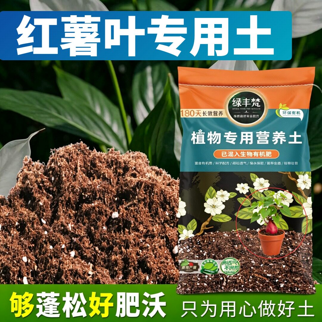 红薯叶适用育苗土科学配比嫁接种植土精选提升排水开袋即用木本