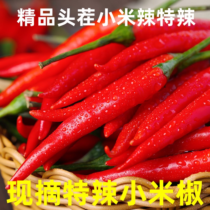 新鲜现摘露天头茬红小米辣朝天椒