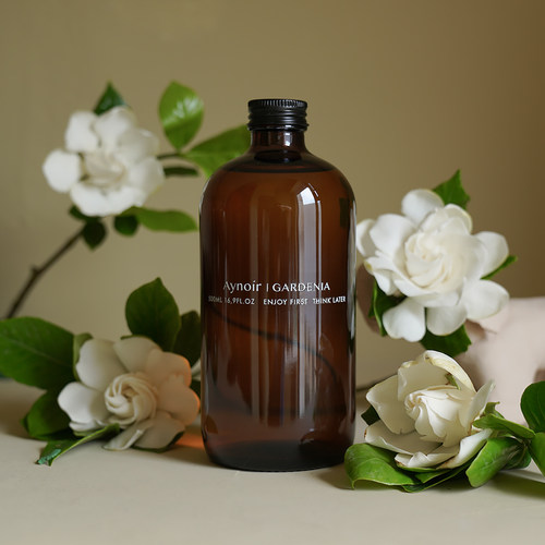 室内白兰花价格 室内白兰花图片 星期三