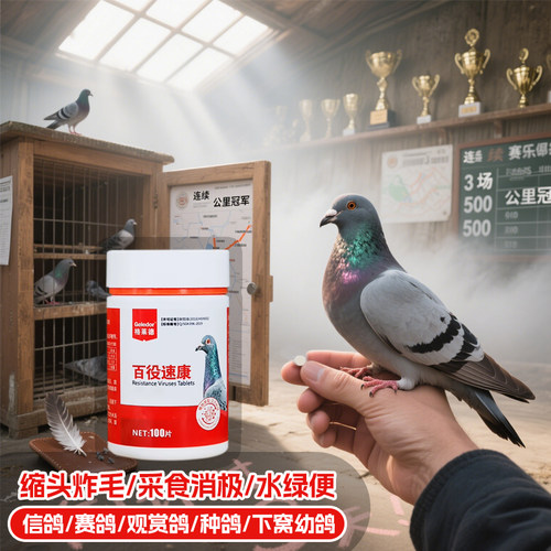 格莱德百役速康100片/瓶