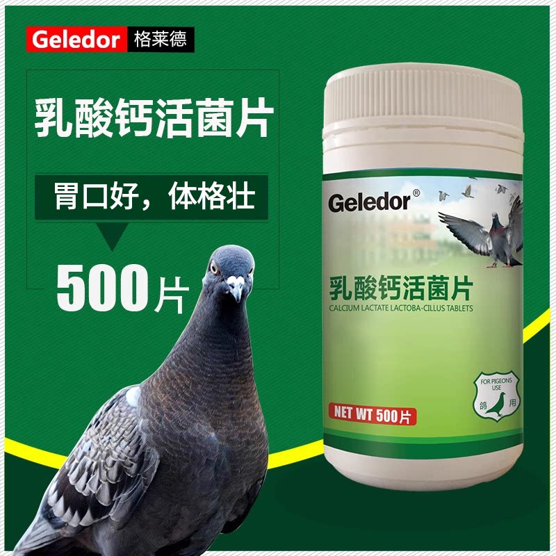 鸽子钙片幼鸽信鸽补钙育雏肠道保健品专用调理助消化乳酸钙活菌片