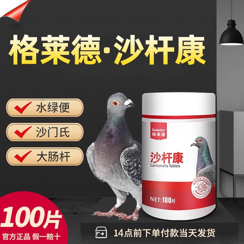 鸽子沙门氏|水绿便拉稀|肠道调理