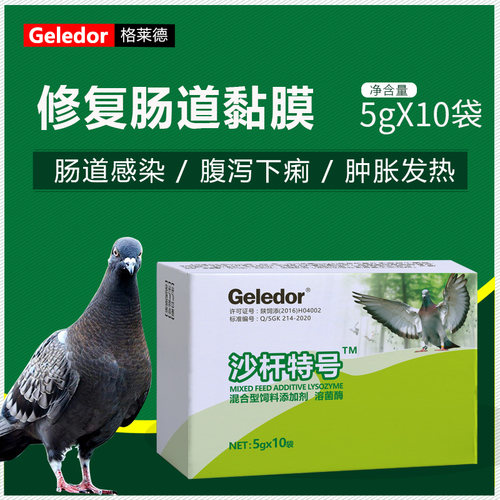 格莱德拉稀水便大肠杆菌鸽药