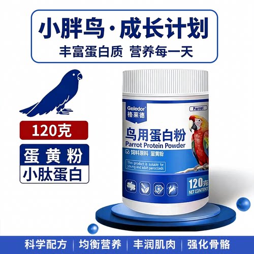格莱德鹦鹉鸟用蛋白粉促进发育