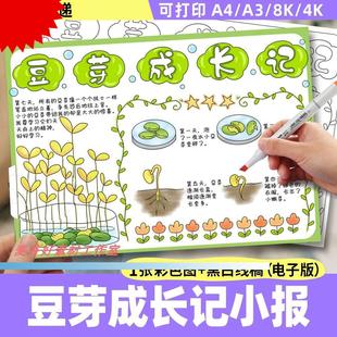 植物生长观察日记小学生记录表线稿 豆芽成长记手抄报电子模板