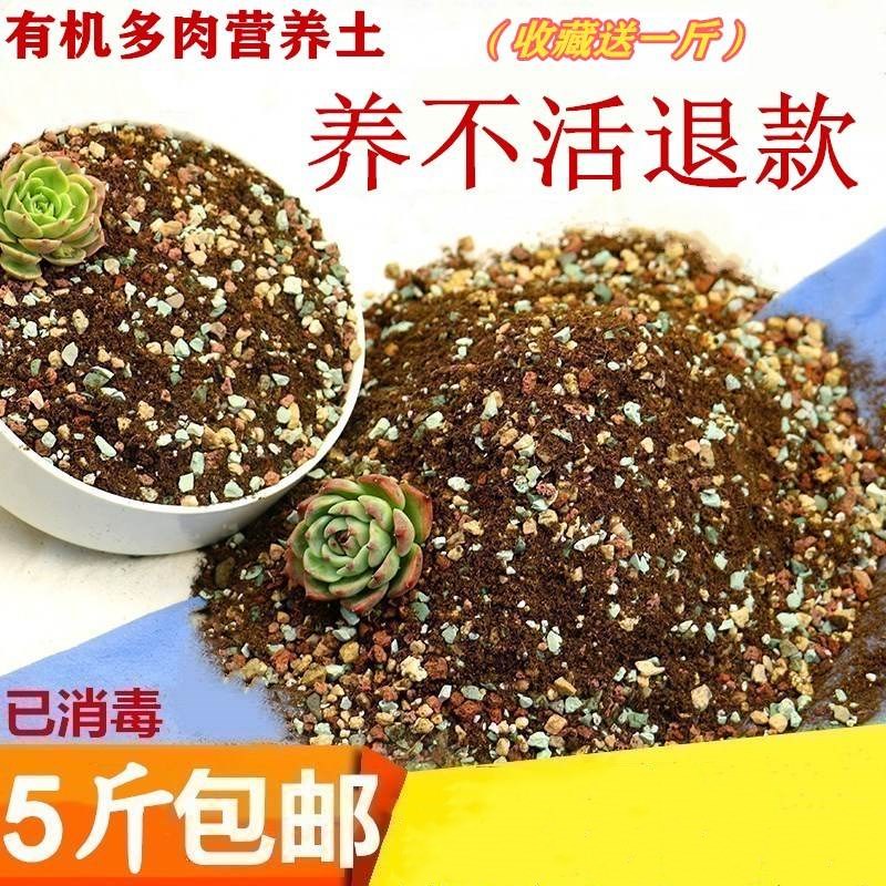 多肉植物營養土室內有機土壤培養土促生長仙人掌彩石子盆栽養花土在類目 鮮花速遞/花卉仿真/綠植園藝, 園藝用品, 家庭園藝肥料/營養土/營養液中 - 來自Buy2taobao.com提供專業的淘寶代購服務