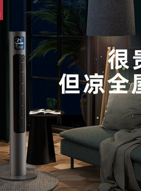 无叶风扇家用静音落地扇立式电扇遥控新款无叶扇客厅摇头智能塔扇