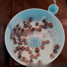 Fruit And Washer蔬菜水果清洗器 Vegetable 亚马逊热销Automatic