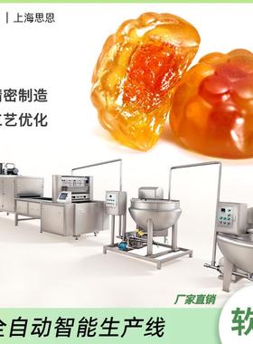 2024823-SE-280J软糖全自动生产线 糖果浇注成型设备 果糖机软糖