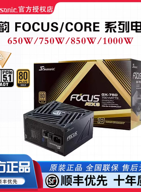 海韵电源CORE GX650/750/850W金牌全模FOCUS 1000W台式机电脑电源