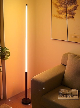 Floor lamp, bedside lamp, floor lamp, ambient light