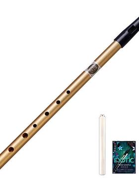 6 Hole Flute C/D Key Irish Whistle Ireland Tin Penny Whistle