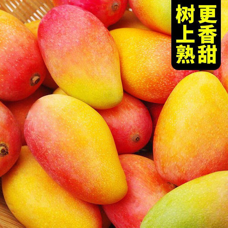 正宗树上熟海南贵妃芒芒果10新鲜水果当季整箱应大热带整箱斤顺丰