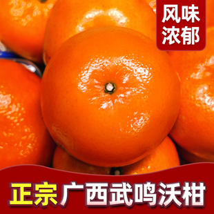 特礼盒 包邮🍬 广西武鸣沃柑10斤一级纯甜新鲜水果当季 整箱蜜桔子橘子