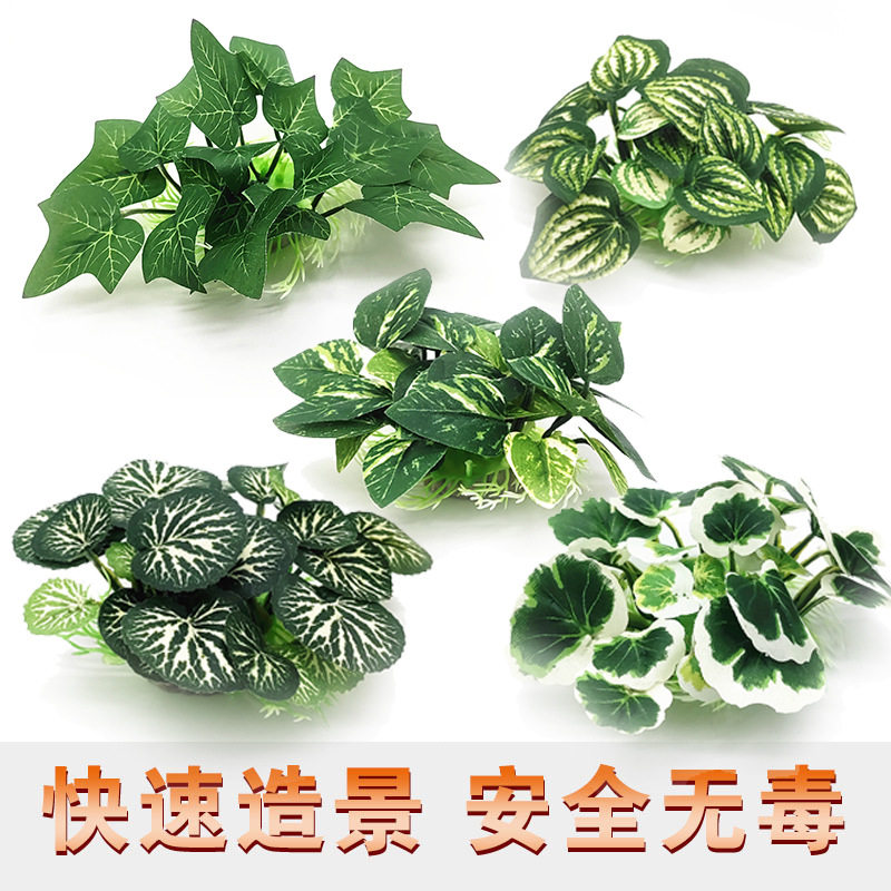 爬宠装饰布叶植物仿真水草水族箱鱼缸造景草丛盆景园艺寿司盘花盆,宠物/宠物食品及用品,造景/装饰,淘宝优惠券,粉丝福利购,淘宝优惠卷