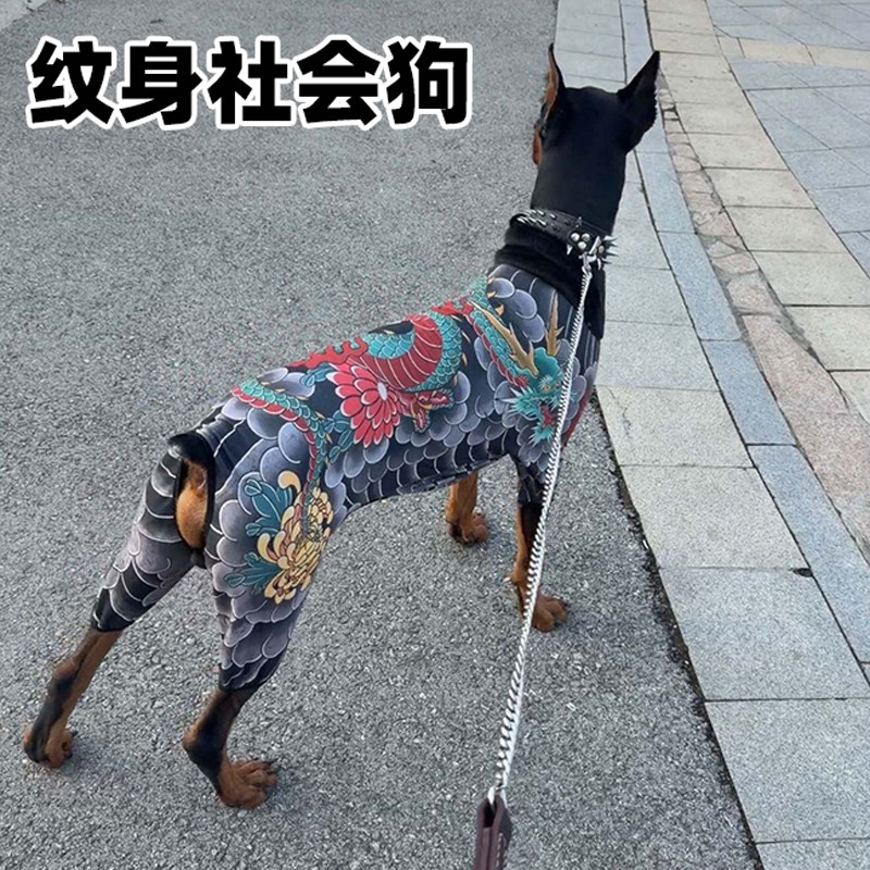 网红狗狗搞笑纹身柯基金毛夏季四