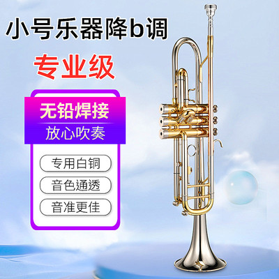 小号乐器降b调成人学生儿童专业演奏出表演西洋铜管乐器按键小号