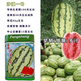 易坐果抗病沙漠一号西瓜种子地雷王西瓜种孑红皮薄耐运输花皮包邮
