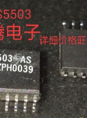 进口现货供应CS5503-AS  CS5503-BS  SOP20   可直拍