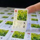 新茶标签定制雨前头采贴纸明前绿茶异形不干胶设计产品标识贴印刷