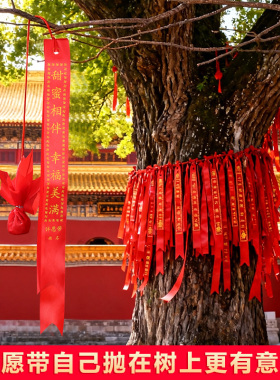 手抛球红飘带带球款许愿带可定制