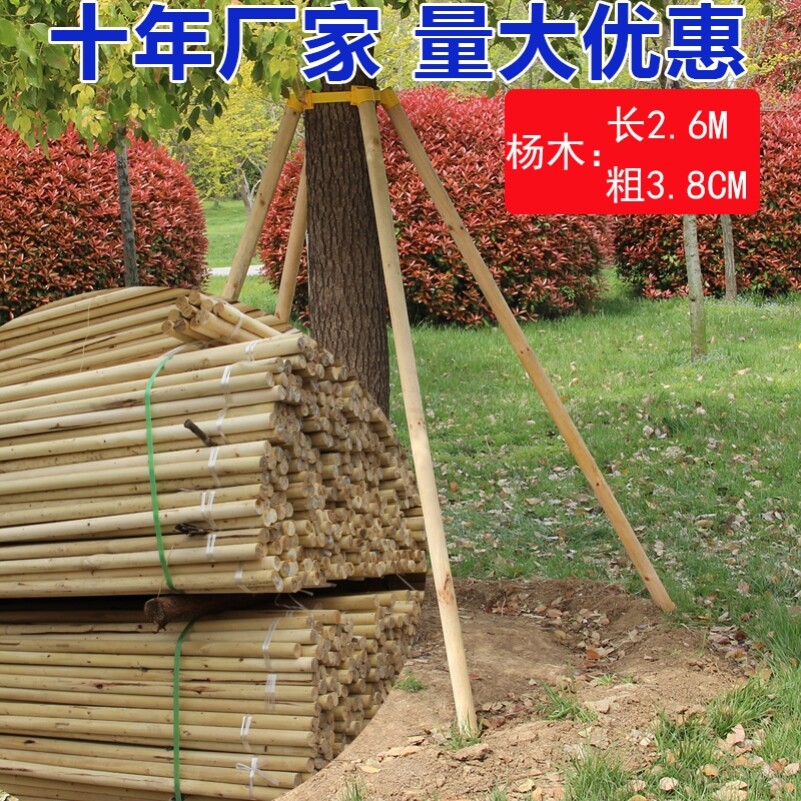杉木防风树木支撑杆绿化木桩园林杆子围栏大树河道松木树木支撑架