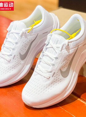 耐克女鞋2024夏季款AIR WINFLO 10 缓震透气运动跑步鞋DV4023-102
