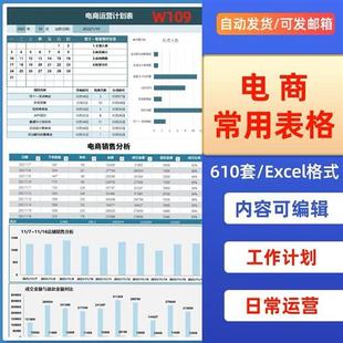 淘宝天猫电商运营店铺Z管理数据分析年度报表计划周报表excel表格