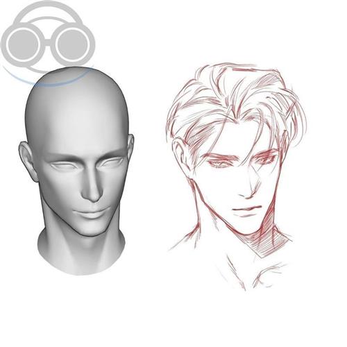 20叔头成年男性脸型头模3d模型男L生头像绘画