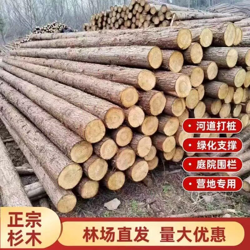 平头带皮杉木桩原木条树杆圆木围栏景观装饰婚庆拱门露营木头架子