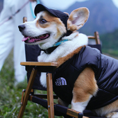 柯基加厚秋冬羽绒服宠物狗网红潮牌棉服2024新款 保暖帅气皮质马甲