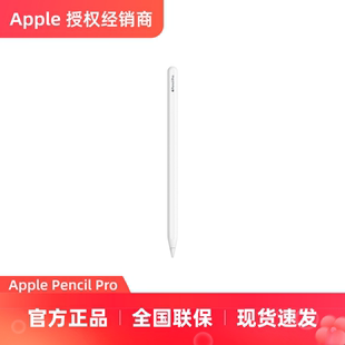 Pro 适用于iPad Air Apple Pro平板绘画 Pencil iPad 手写笔 苹果