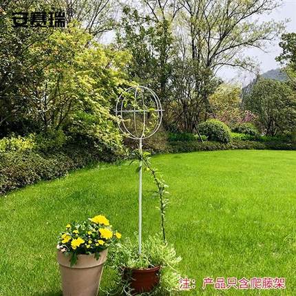 新品安赛瑞 球形花架 植物爬藤架 攀爬支架 铁线莲花卉造型支架杆