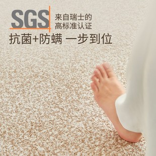轻奢高级感防水免洗可擦地垫卧室床边茶几 优选无胶c地毯客厅新款
