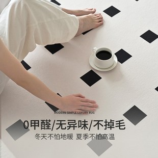 轻奢高级黑w白格子免洗可擦卧室床边沙发茶几地 优选地毯客厅新款