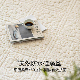 优选地毯客厅奶油风免洗可擦防水防污轻奢高级感硅藻丝Z地垫沙发