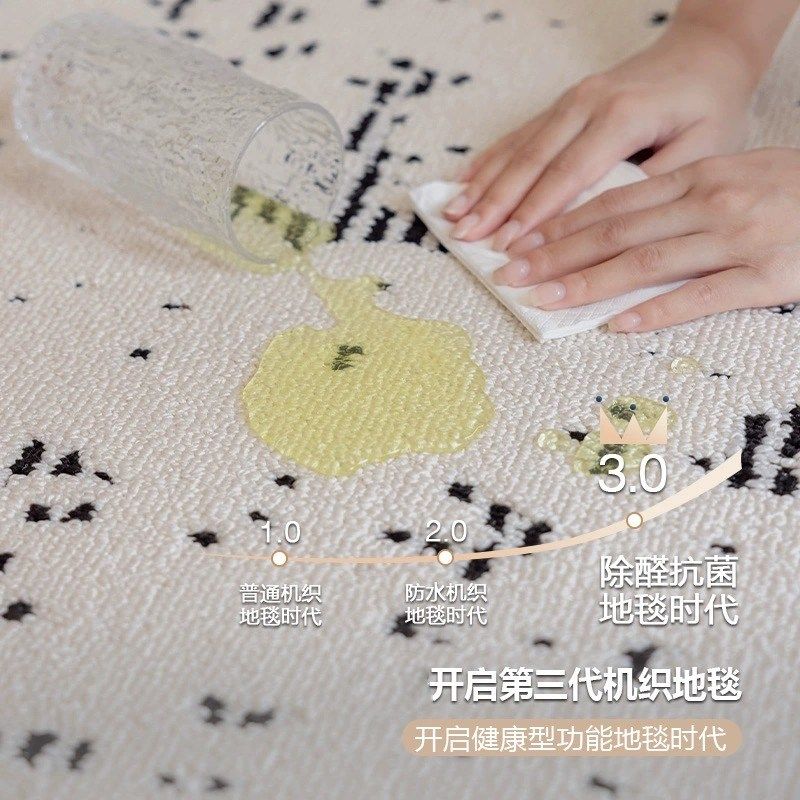 精选地毯客厅新j款轻奢高级沙发茶几毯家用卧室现代简约黑白地毯