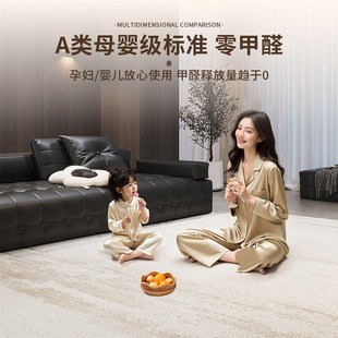 极简地毯客厅o新款 精选意式 轻奢高级防水耐脏家用沙发茶几卧室床