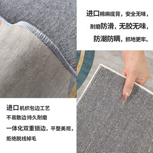 加厚新款 精选地垫a租房客厅防滑免洗柔软地毯冬季 宿舍客厅地垫简