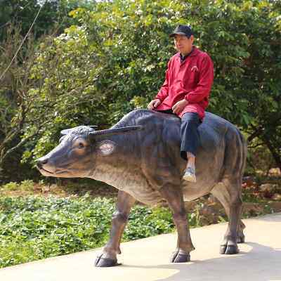专用园林牧童骑仿真水牛雕塑农耕模型摆件大型动物玻璃钢户外景观