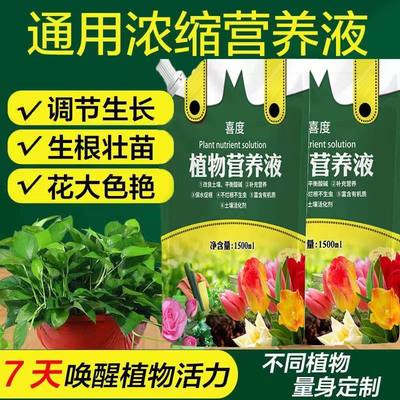 营养液袋装植物通用型