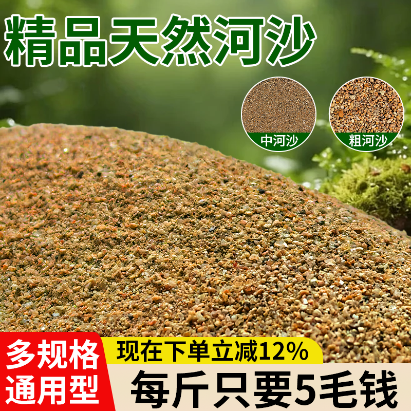 河沙养花专用河沙精筛多肉君子兰配土铺面细河沙拌土盆景造景河沙