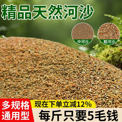 河沙养花专用河沙精筛多肉君子兰配土铺面细河沙拌土盆景造景河沙